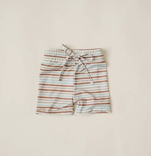 Summer Stripes Boy's Swim Trunks